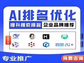 海南藏族网站优化