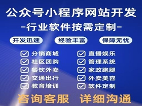 海南藏族网站开发