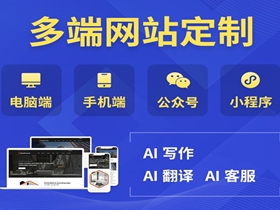 海南藏族网站定制